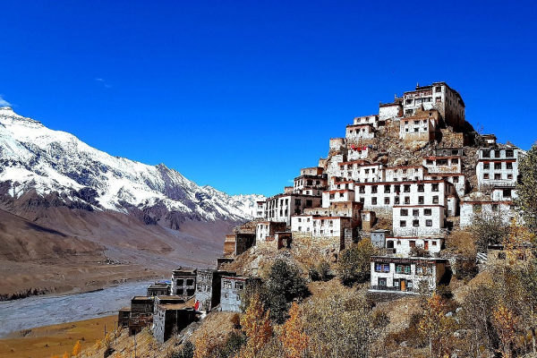kaza